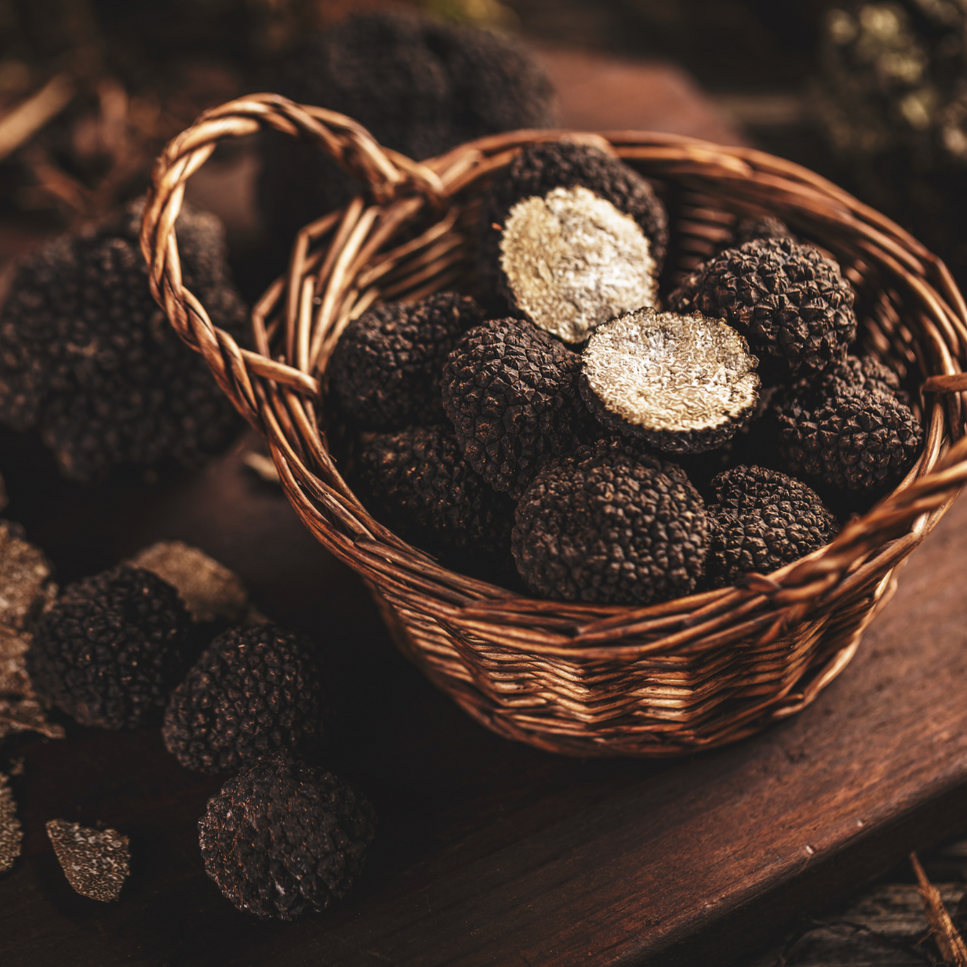 Fresh Tuscan Black Truffle Avg. 7/12g (Only Pre-order) | Delivered in 5 days - Artisan Italian