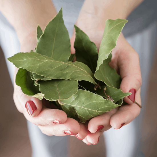 Dry Organic Bay Leaves in 25gr Bag