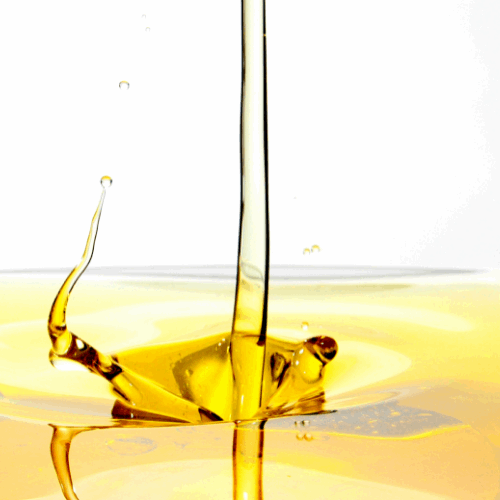 EVO Oil 100% Monocultivar Taggiasca 500ml Artisan Italian